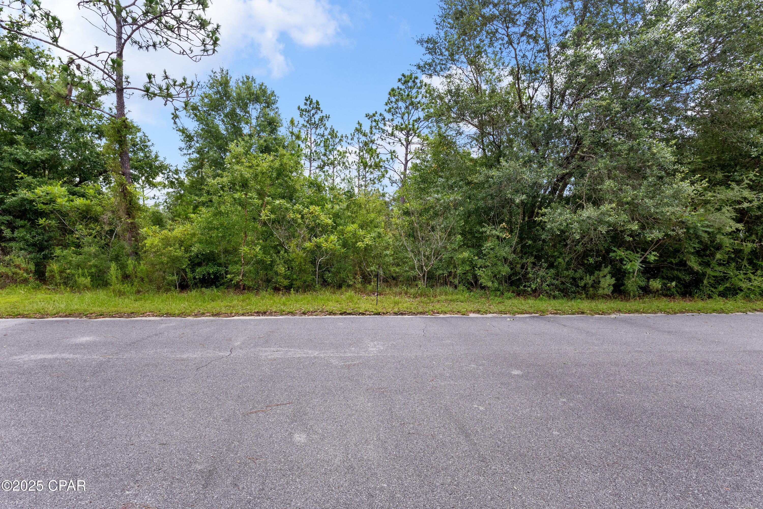 0 Quail Ridge Drive Chipley, FL 32428 - Photo 21 of 27