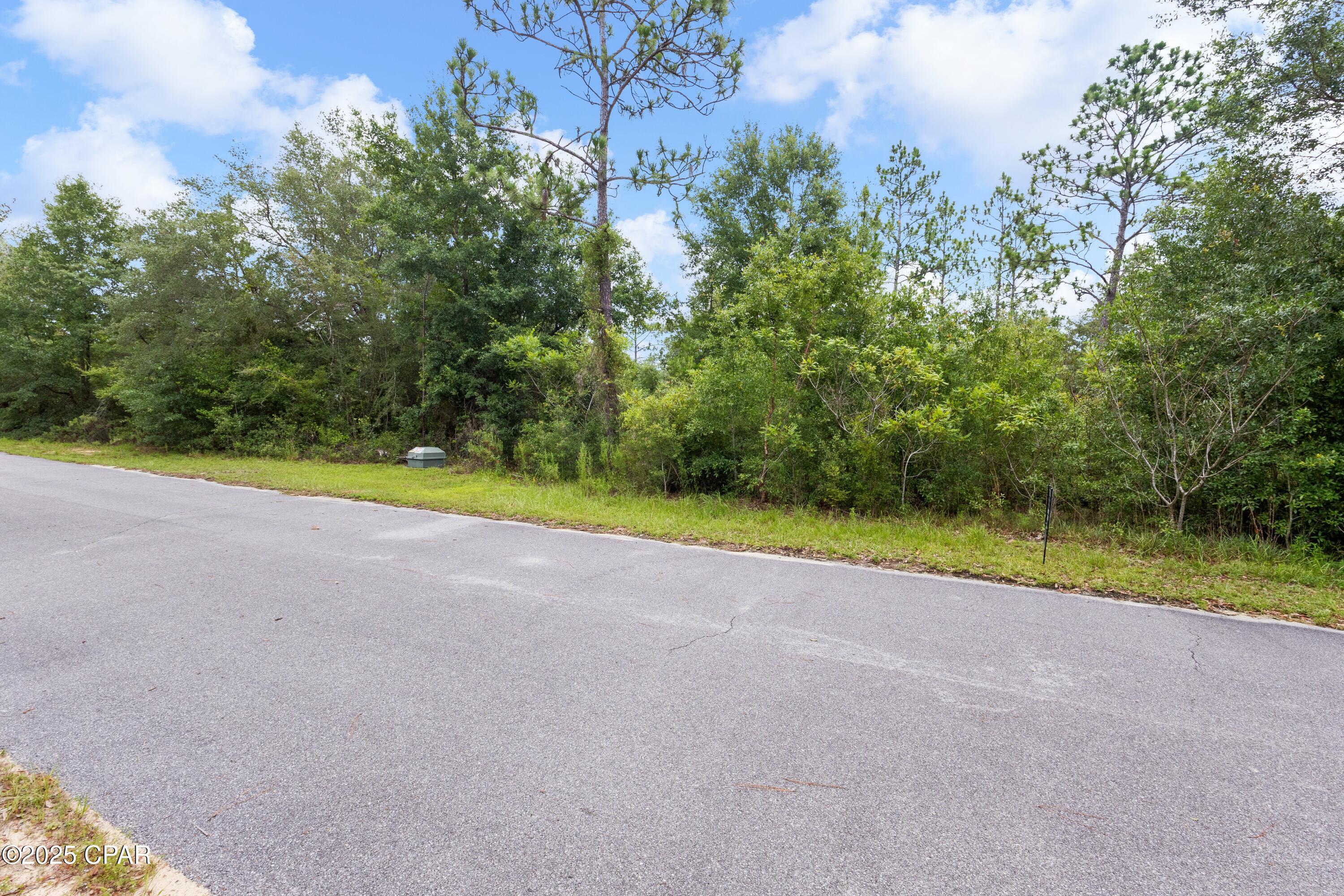 0 Quail Ridge Drive Chipley, FL 32428 - Photo 9 of 27