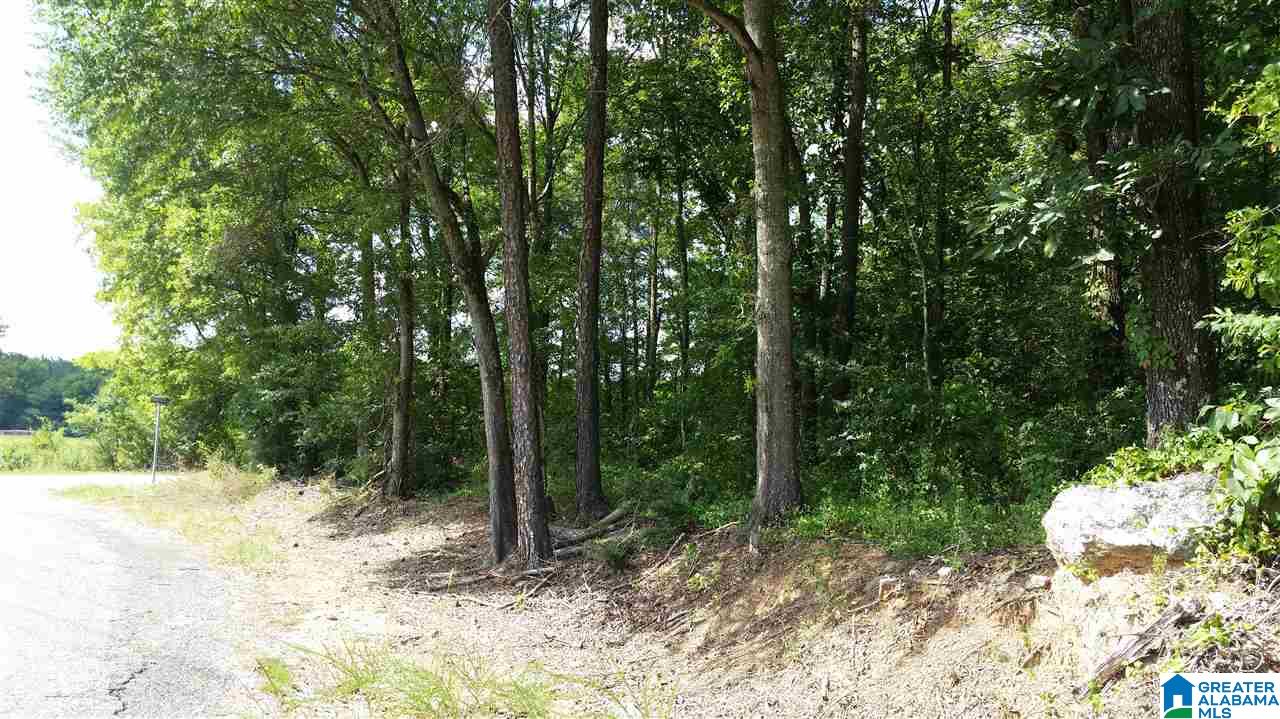 1885 Brooks Lake Road Lincoln, AL 35096 - Photo 7 of 30