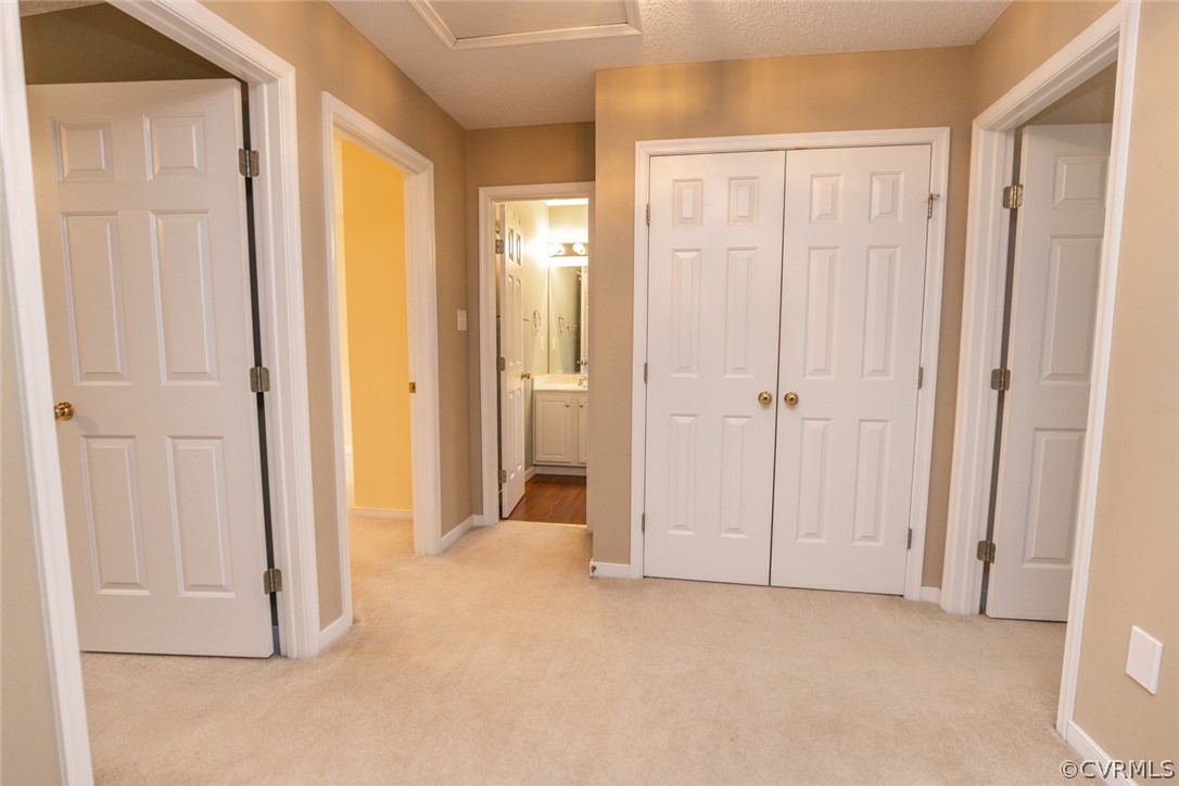 14009 Harbour Pointe Road Midlothian, VA 23112 - Photo 28 of 50 View of 2nd floor landing area. Linen closet behin