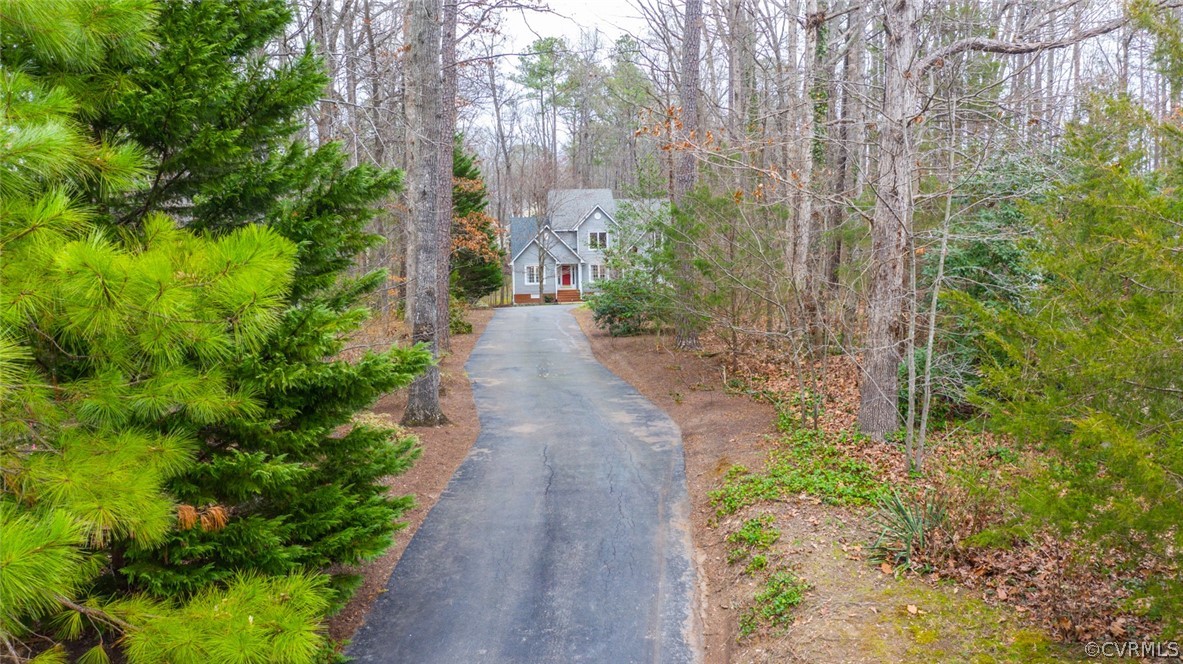 14009 Harbour Pointe Road Midlothian, VA 23112 - Photo 35 of 50 Paved private drive.