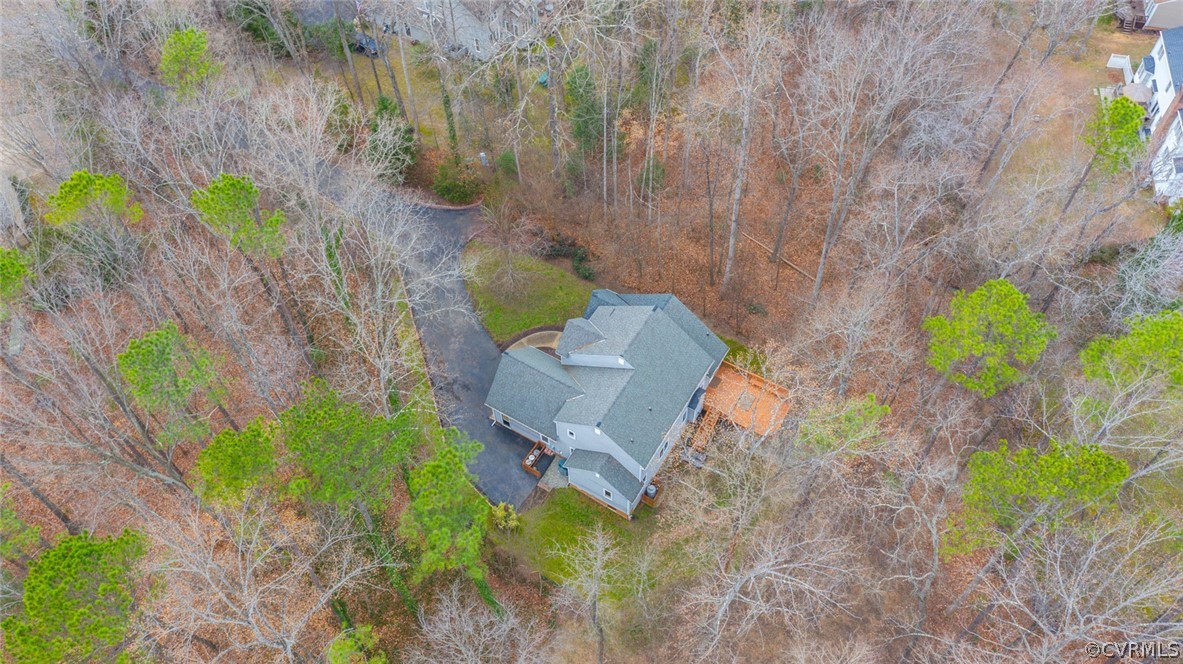 14009 Harbour Pointe Road Midlothian, VA 23112 - Photo 42 of 50 Drone view.