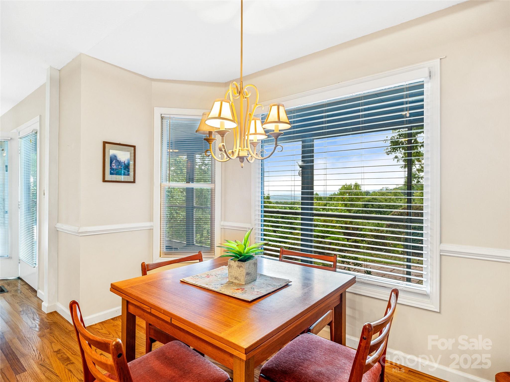 811 Sunlight Ridge Drive Hendersonville, NC 28792 - Photo 20 of 32