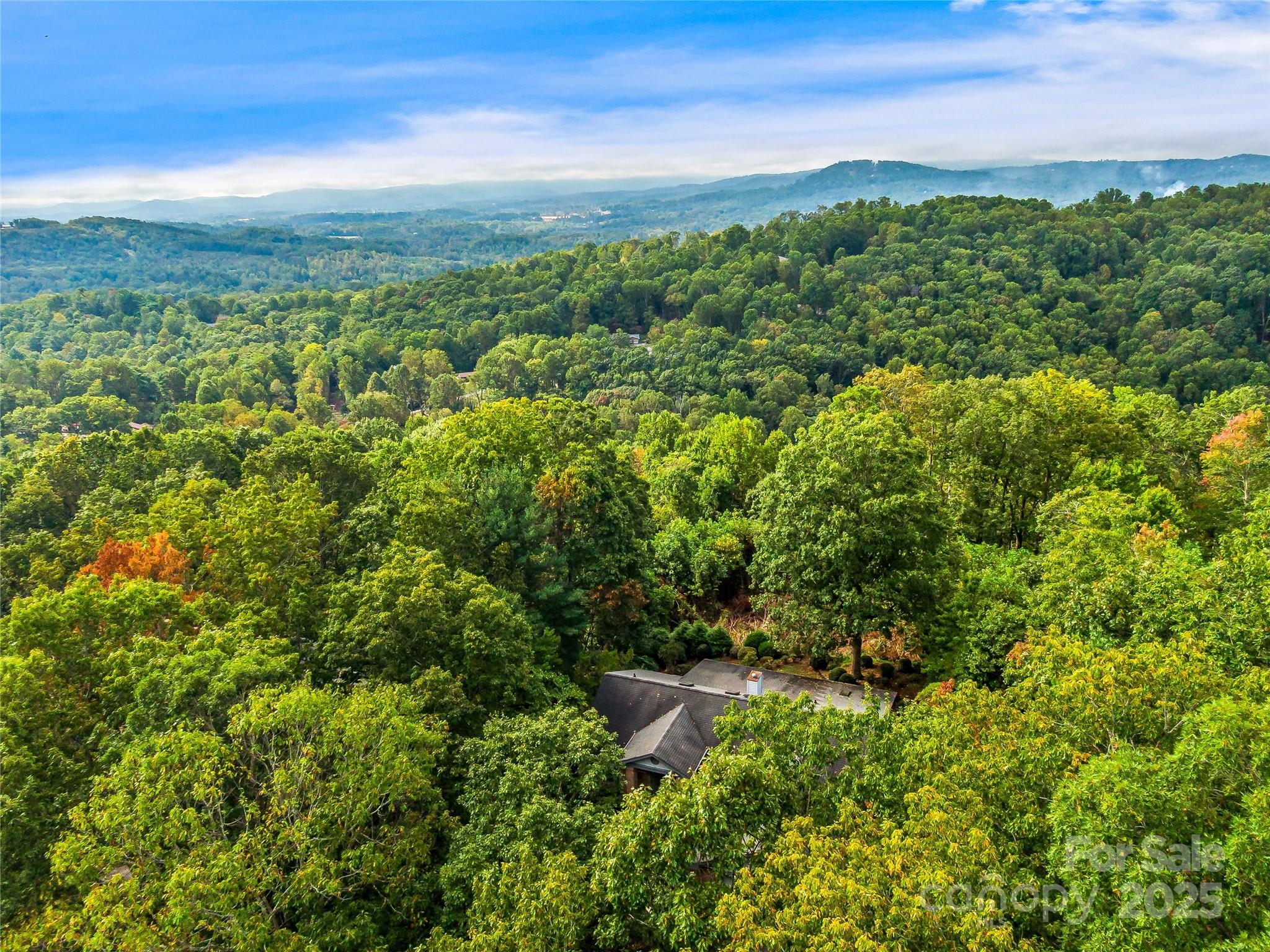 811 Sunlight Ridge Drive Hendersonville, NC 28792 - Photo 5 of 32