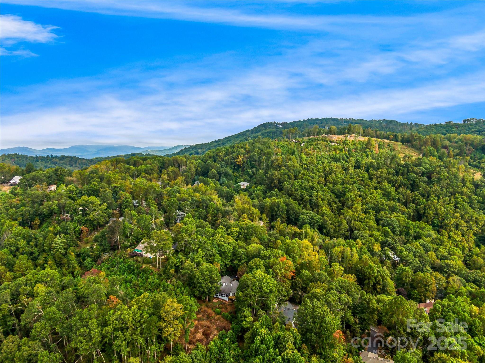 811 Sunlight Ridge Drive Hendersonville, NC 28792 - Photo 7 of 32