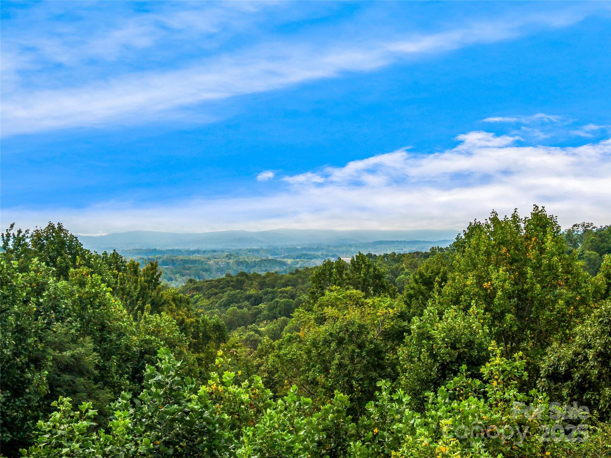 811 Sunlight Ridge Drive Hendersonville, NC 28792 - Photo 8 of 32