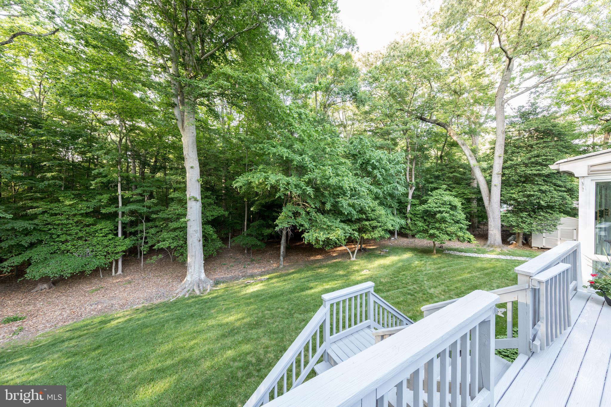 6040 Chapman Road Lorton, VA 22079 - Photo 44 of 58 Easy access to the large backyard