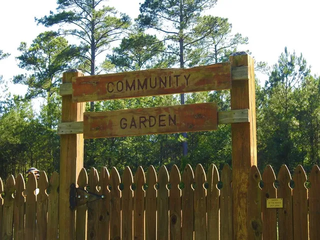 $13,000 | L13-b28 Monroe Lane, McCormick, SC 29835