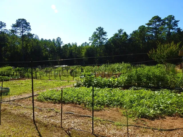 $13,000 | L13-b28 Monroe Lane, McCormick, SC 29835