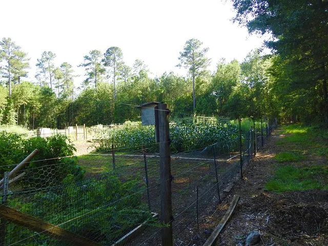 $13,000 | L13-b28 Monroe Lane, McCormick, SC 29835