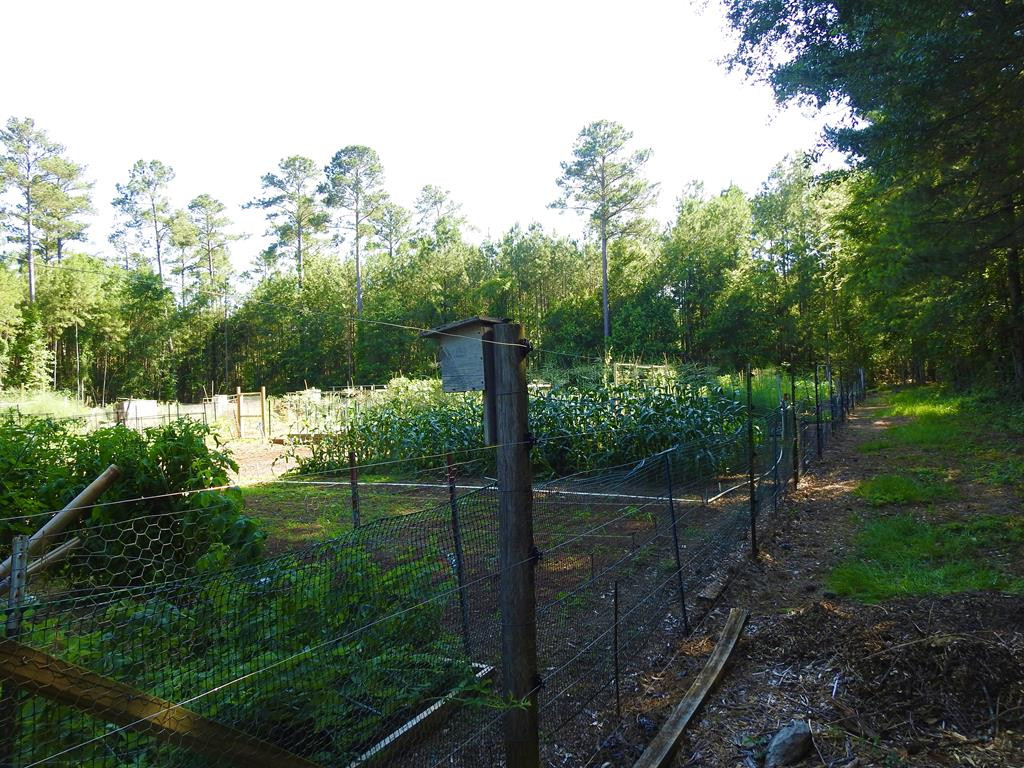 L13-b28 Monroe Lane McCormick, SC 29835 - Photo 22 of 32