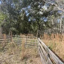 a view of water yard