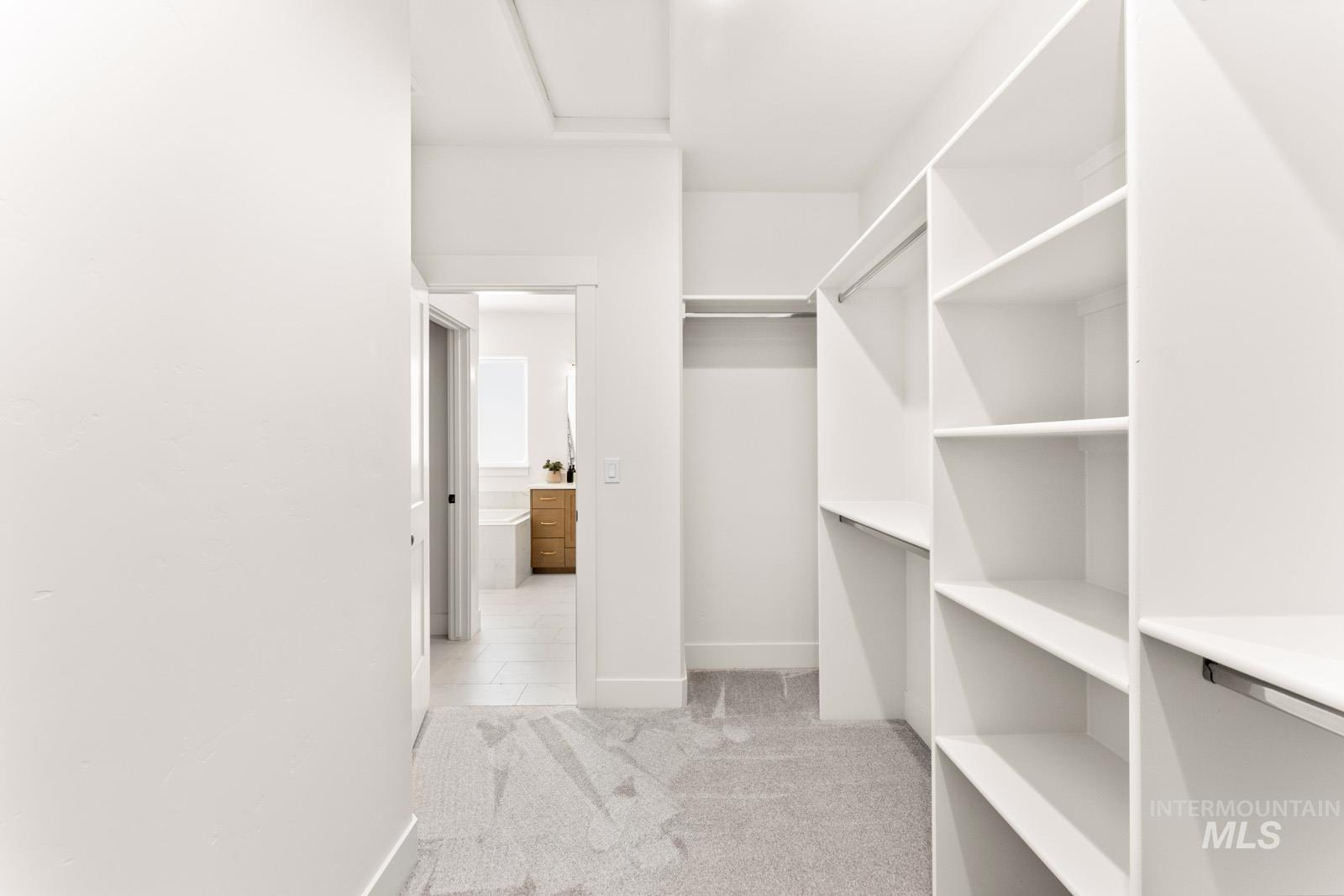 13344 North Spring Creek Way Boise, ID 83714 - Photo 20 of 39 Walk in closet featuring light colored carpet