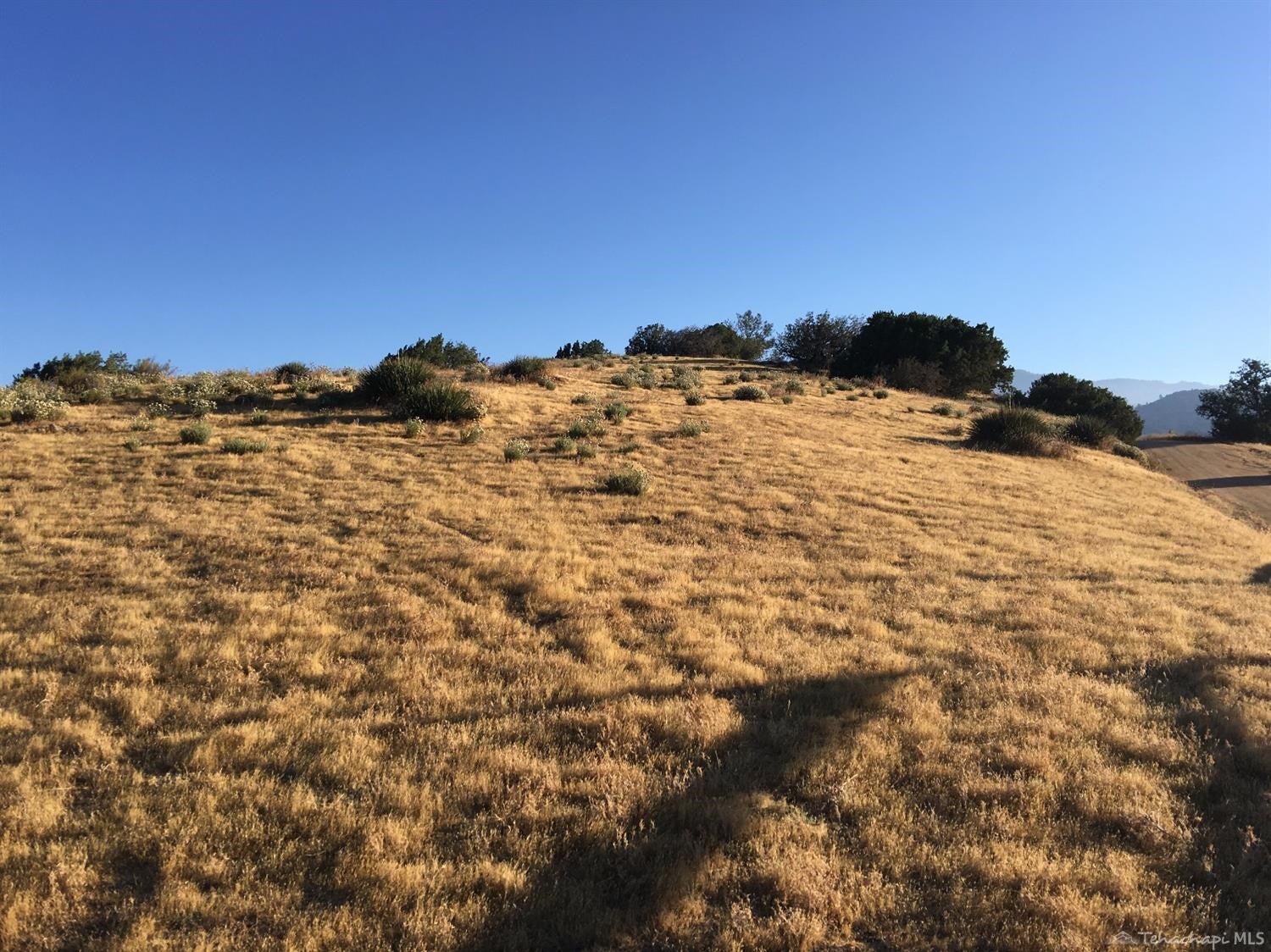 0 High Meadow Road Caliente, CA 93518 - Photo 4 of 6 Gallery Image 4