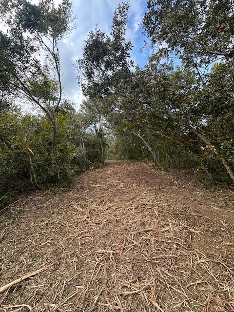 0 Tbd Fort Fort Pierce, FL 34949 - Photo 2 of 4 a view of a pathway with a tree