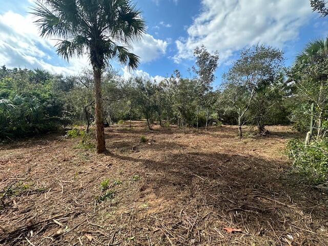 0 Tbd Fort Fort Pierce, FL 34949 - Photo 3 of 4 a view of outdoor space with trees