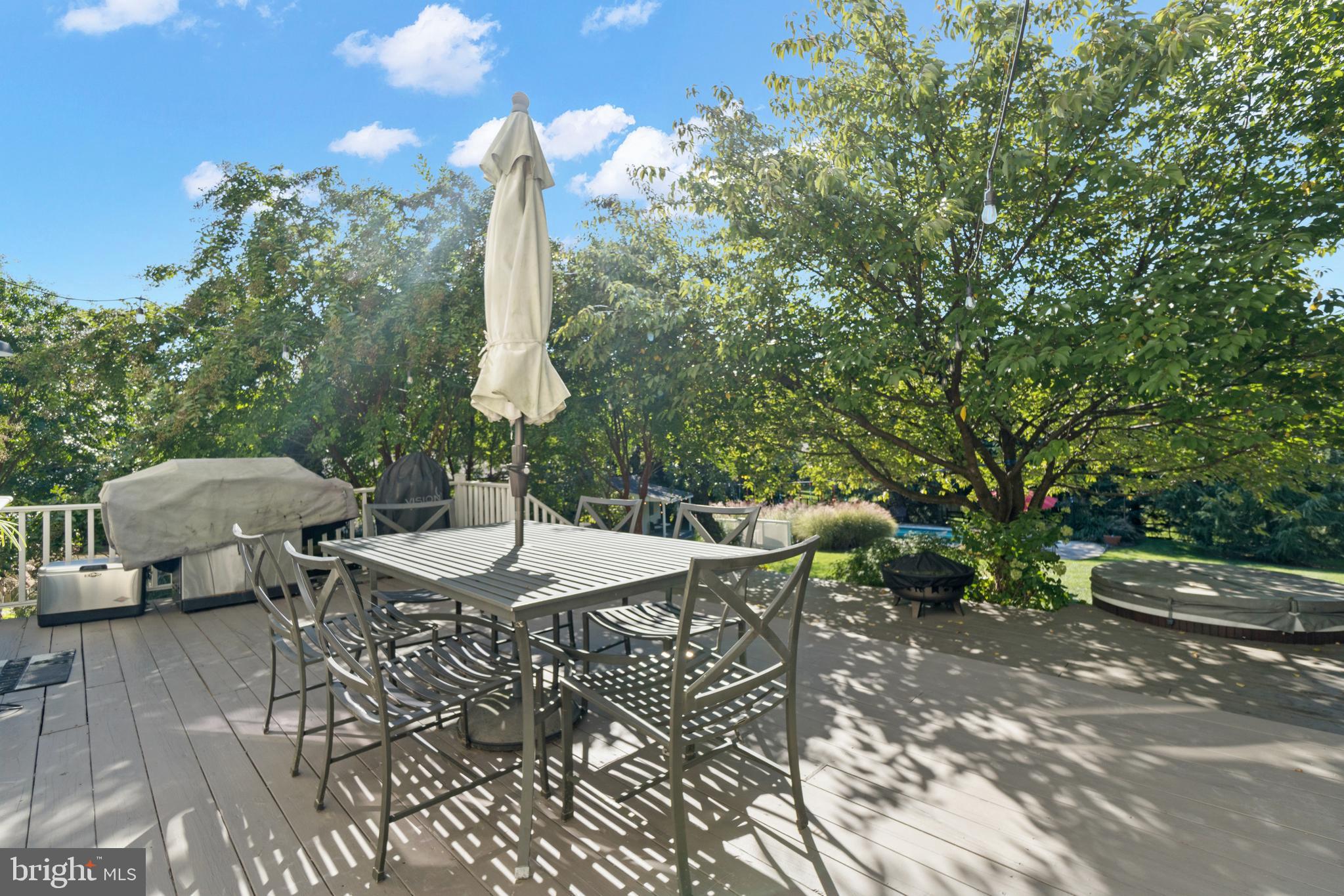 1005 Grant Street Herndon, VA 20170 - Photo 38 of 59 a patio with a table and chairs and a fire pit