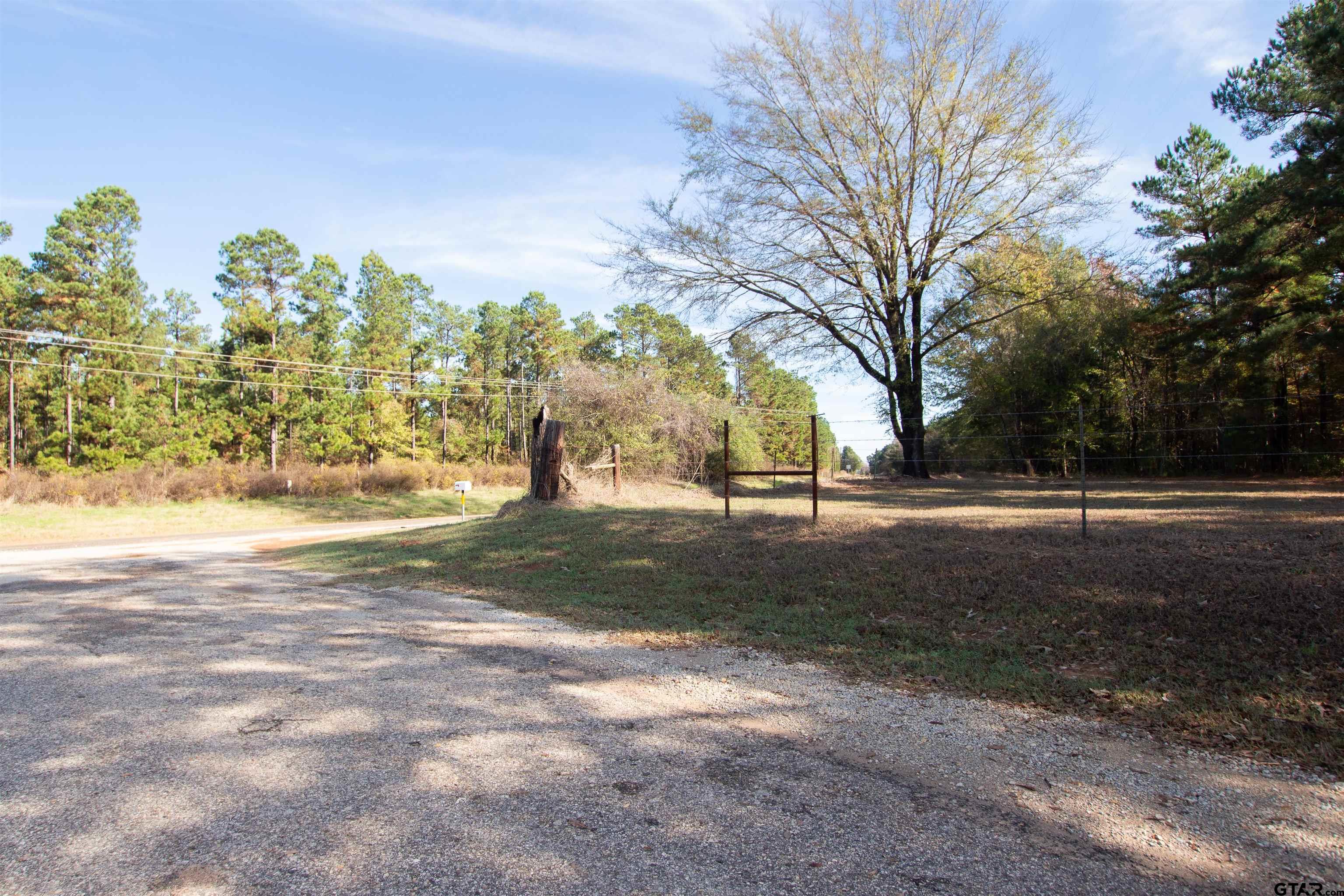 9870 Farm To Market 855 Bullard, TX 75757 - Photo 3 of 9 a view of dirt yard with a large tree
