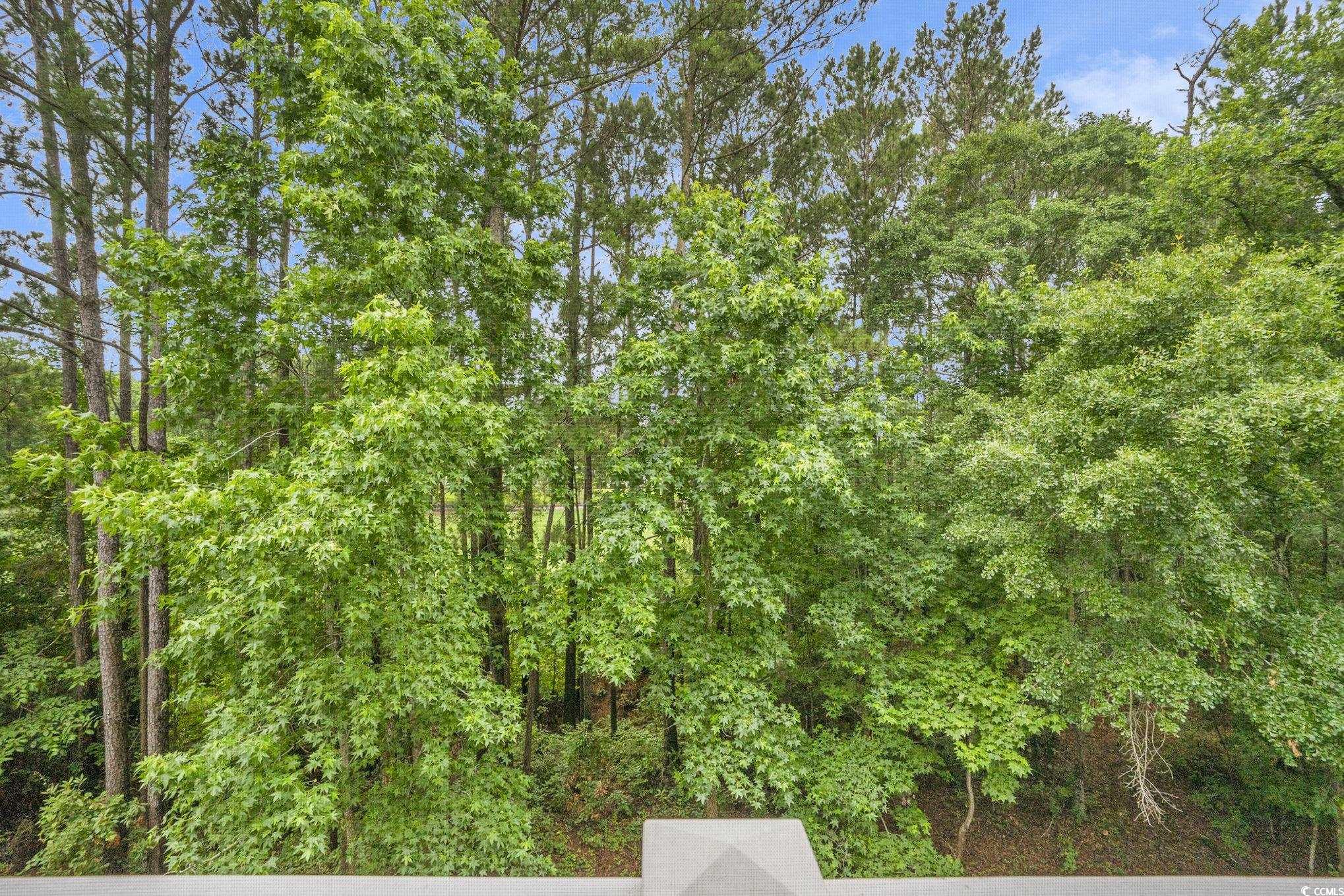 6015 Catalina Drive, Unit 634 North Myrtle Beach, SC 29582 - Photo 28 of 35