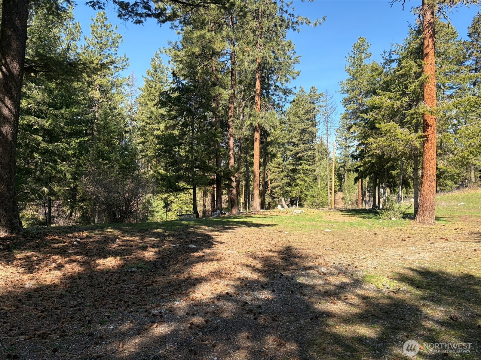 13 Rope And Saddle Lane Tonasket, WA 98855 - Photo 13 of 28 a view of a yard with a tree