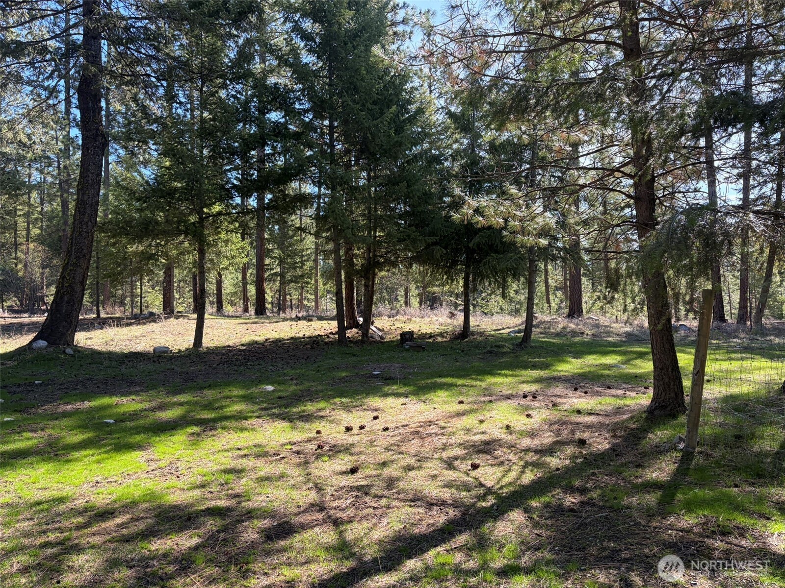 13 Rope And Saddle Lane Tonasket, WA 98855 - Photo 14 of 28 a view of backyard with green space