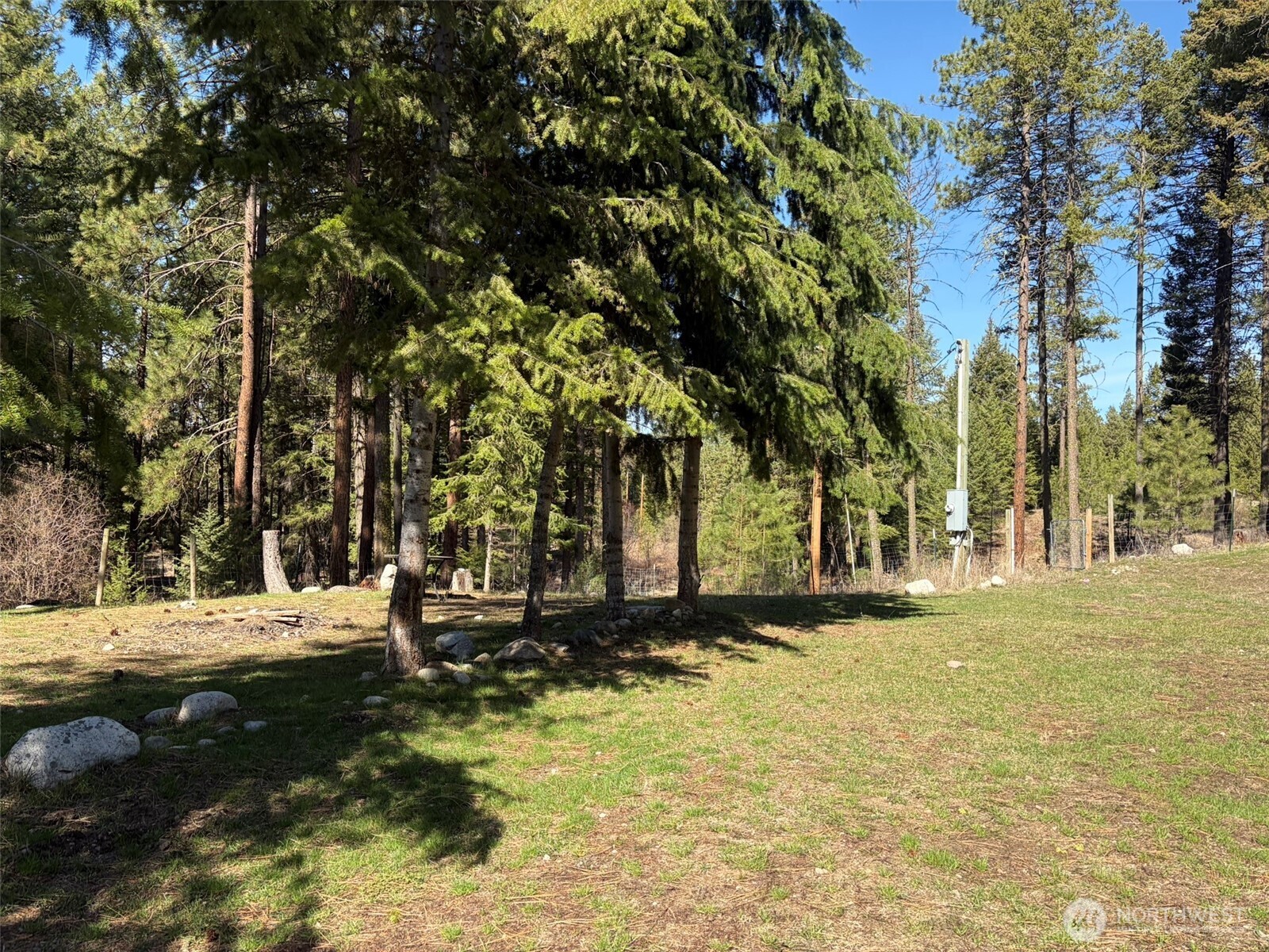 13 Rope And Saddle Lane Tonasket, WA 98855 - Photo 17 of 28 a view of road with trees