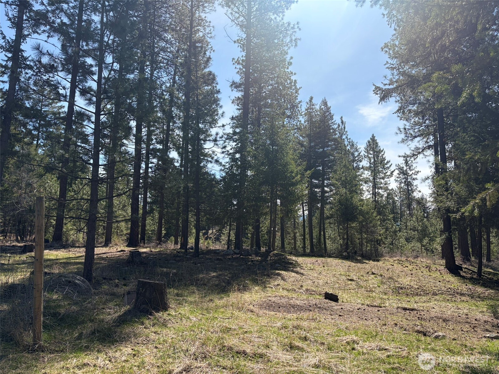 13 Rope And Saddle Lane Tonasket, WA 98855 - Photo 19 of 28 a view of a yard with trees