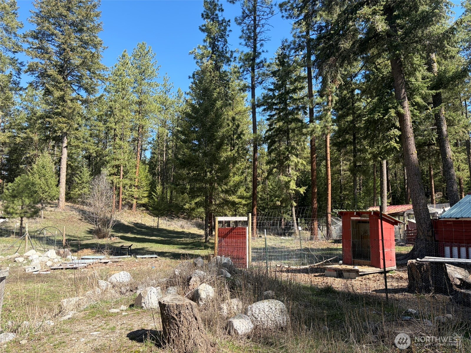 13 Rope And Saddle Lane Tonasket, WA 98855 - Photo 20 of 28 a park view with large trees