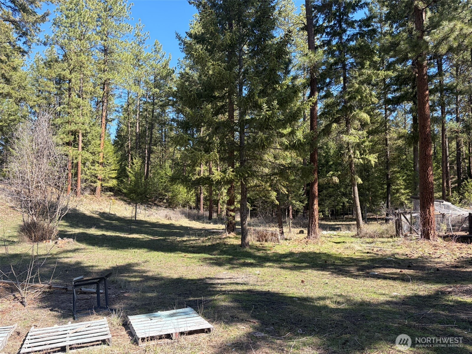 13 Rope And Saddle Lane Tonasket, WA 98855 - Photo 23 of 28 a backyard of a house with lots of green space