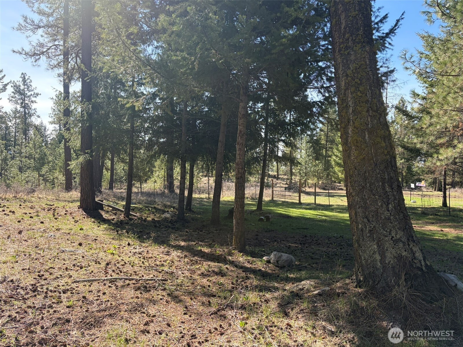 13 Rope And Saddle Lane Tonasket, WA 98855 - Photo 26 of 28 a view of a yard with plants and trees
