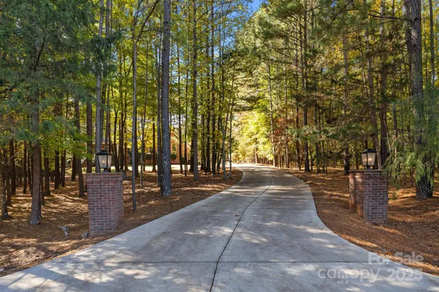 a view of a yard with plants and trees