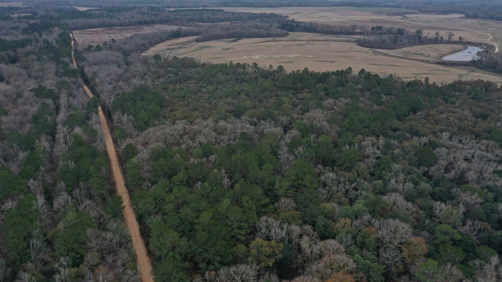 15.05 Pera Road Samson, AL 36477 - Photo 4 of 29