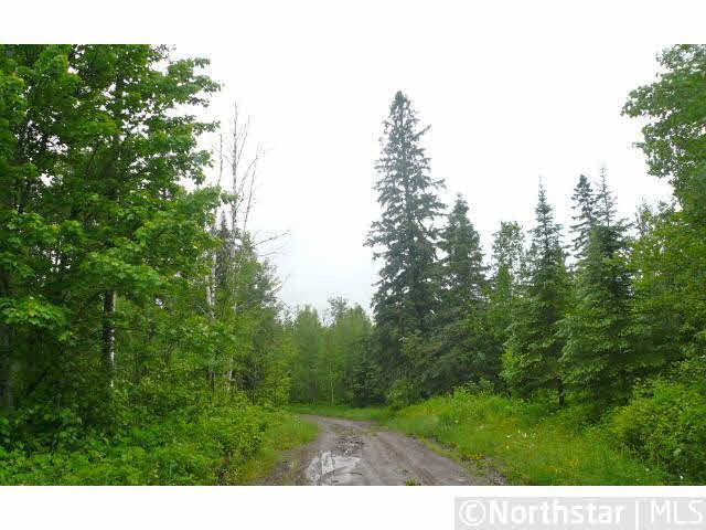 Xx Xx Forest Road Independence, MN 55359 - Photo 3 of 8