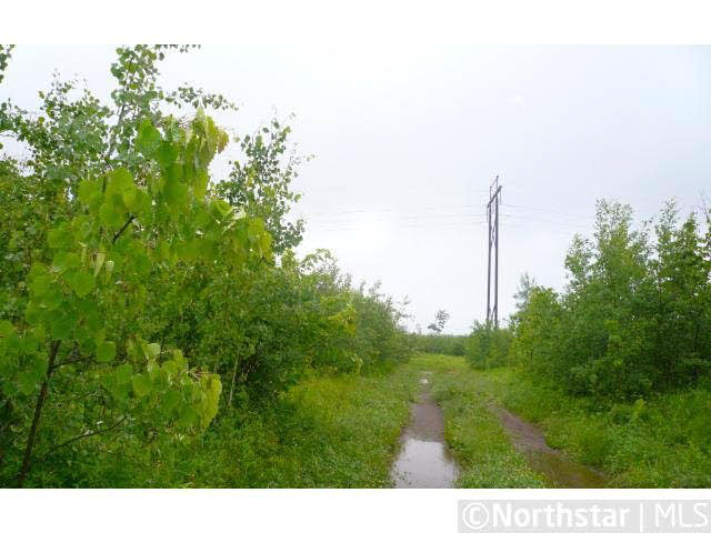 Xx Xx Forest Road Independence, MN 55359 - Photo 6 of 8