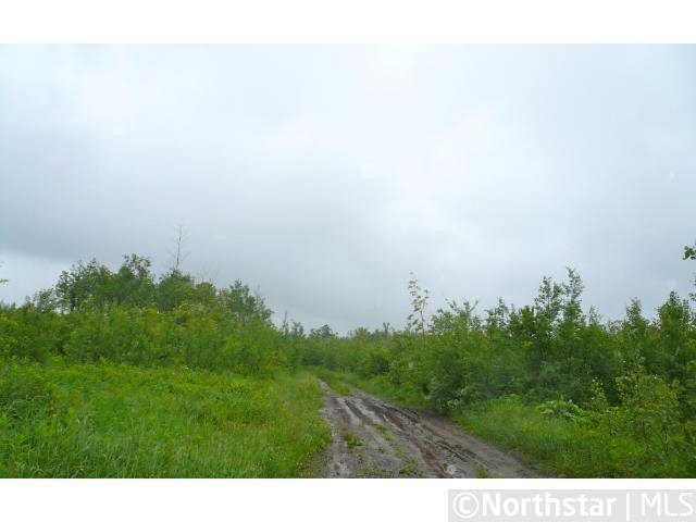 Xx Xx Forest Road Independence, MN 55359 - Photo 8 of 8