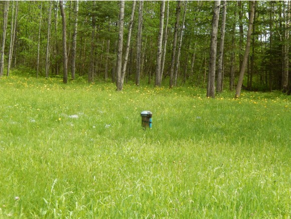 280 Roberts Road Canaan, NH 03741 - Photo 4 of 18 Gallery Image 4