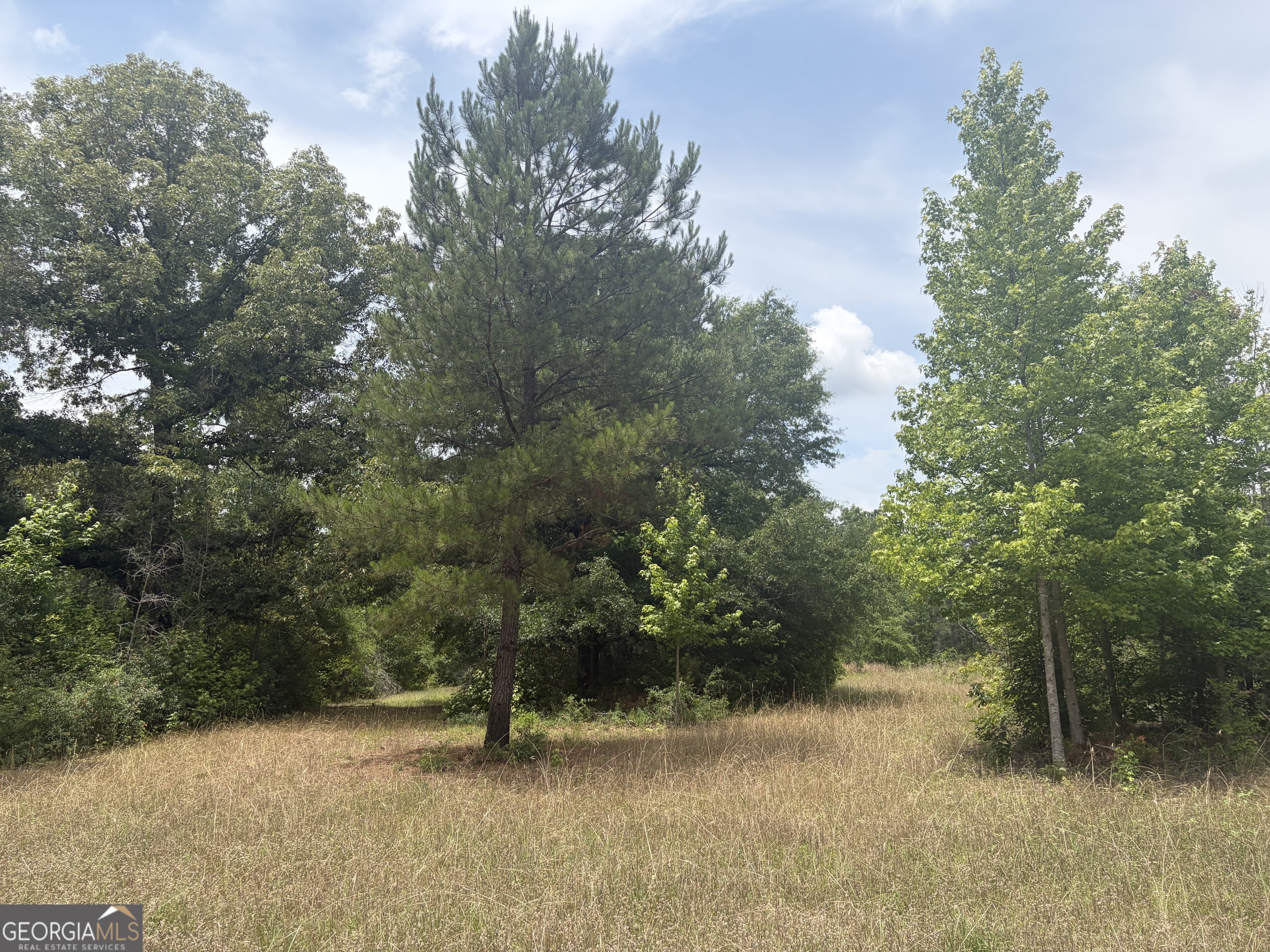 8 Sunhill Grange Road Sandersville, GA 31018 - Photo 1 of 11
