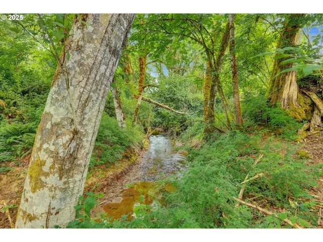 $2,730,000 | 47266 Southwest Carpenter Creek Road, Forest Grove, OR 97116