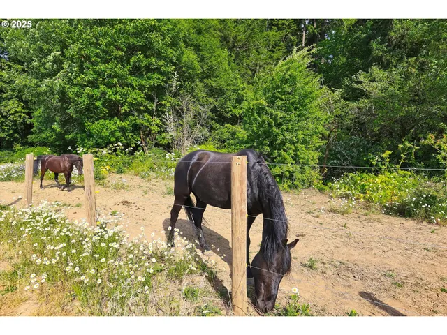 $2,730,000 | 47266 Southwest Carpenter Creek Road, Forest Grove, OR 97116