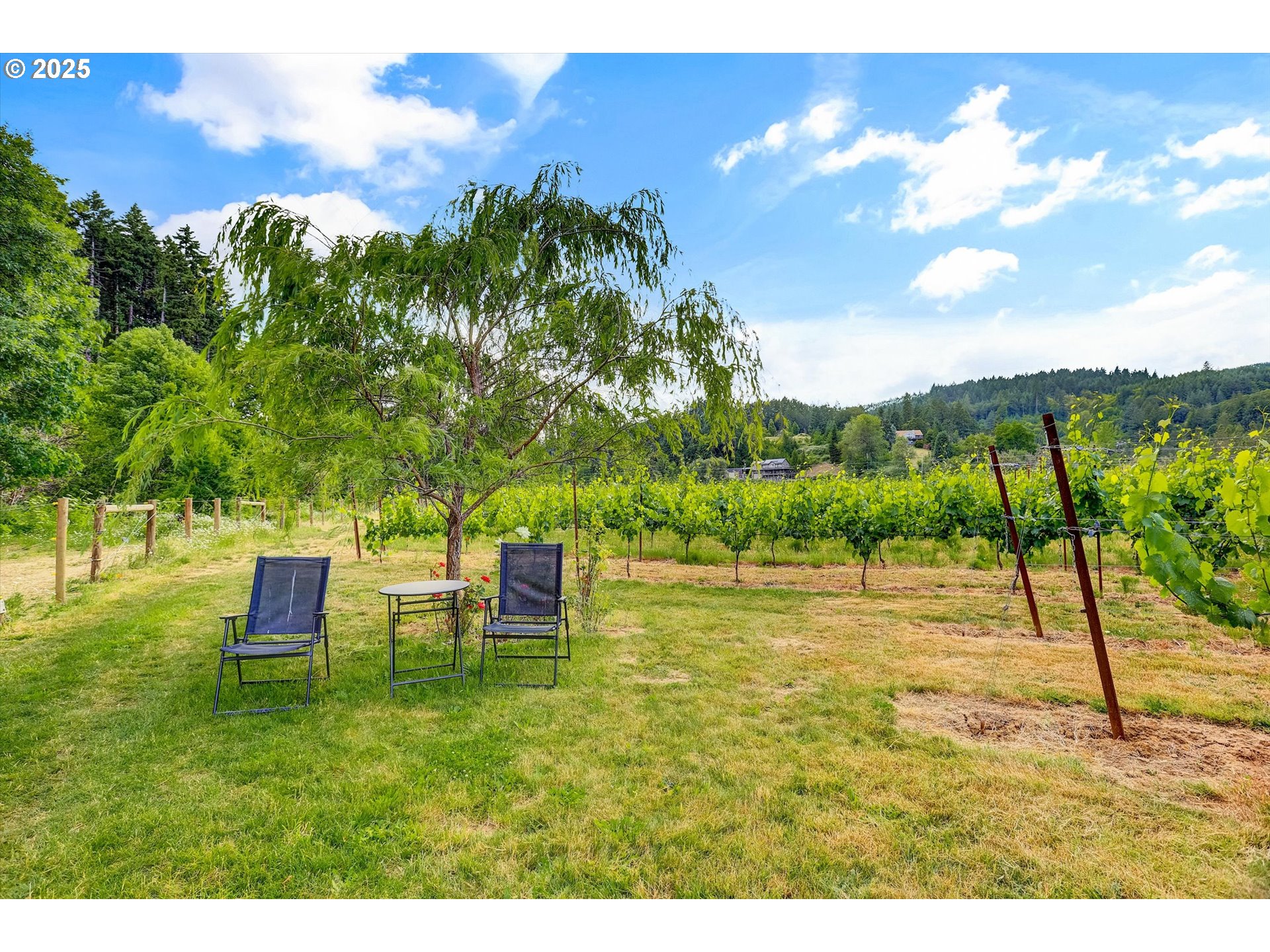 47266 Southwest Carpenter Creek Road Forest Grove, OR 97116 - Photo 34 of 47