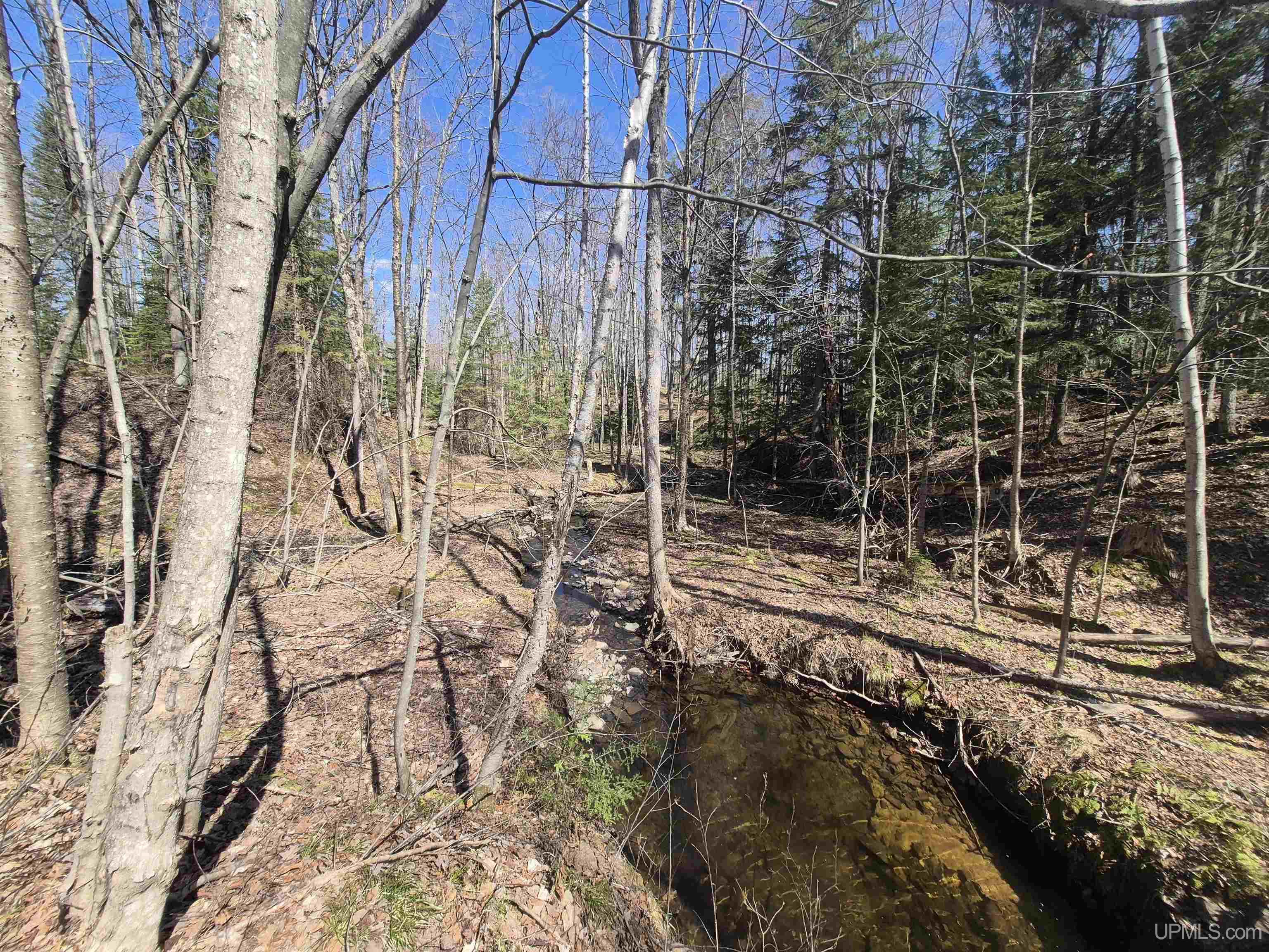 12-acres Salmon Road L'Anse, MI 49946 - Photo 16 of 39