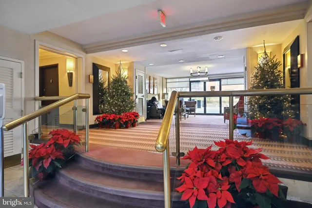 a view of lobby with a potted plant