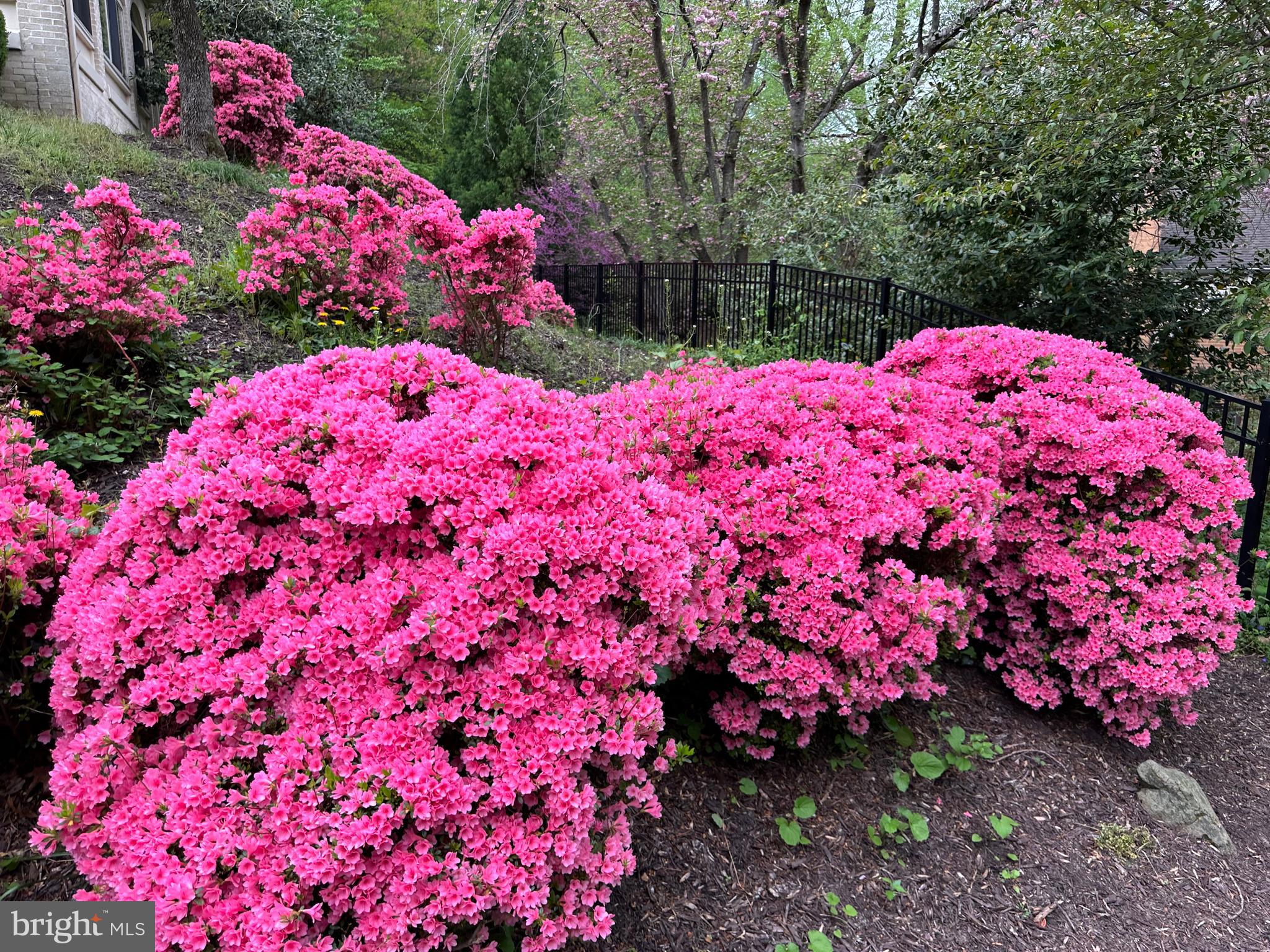 950 25th Street Northwest, Unit 814N Washington, DC 20037 - Photo 42 of 44 a view of a backyard of flowers