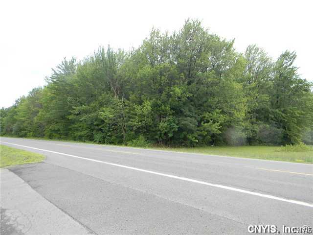 0 County Rte 29 Oswego, NY 13126 - Photo 1 of 1 Exterior Front North Corner