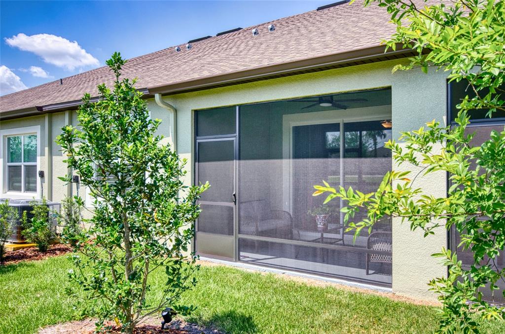 6736 Ripple Pond Loop Zephyrhills, FL 33541 - Photo 26 of 40 a front view of a house with a yard