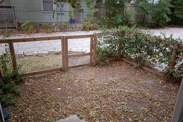 a view of a yard with plants