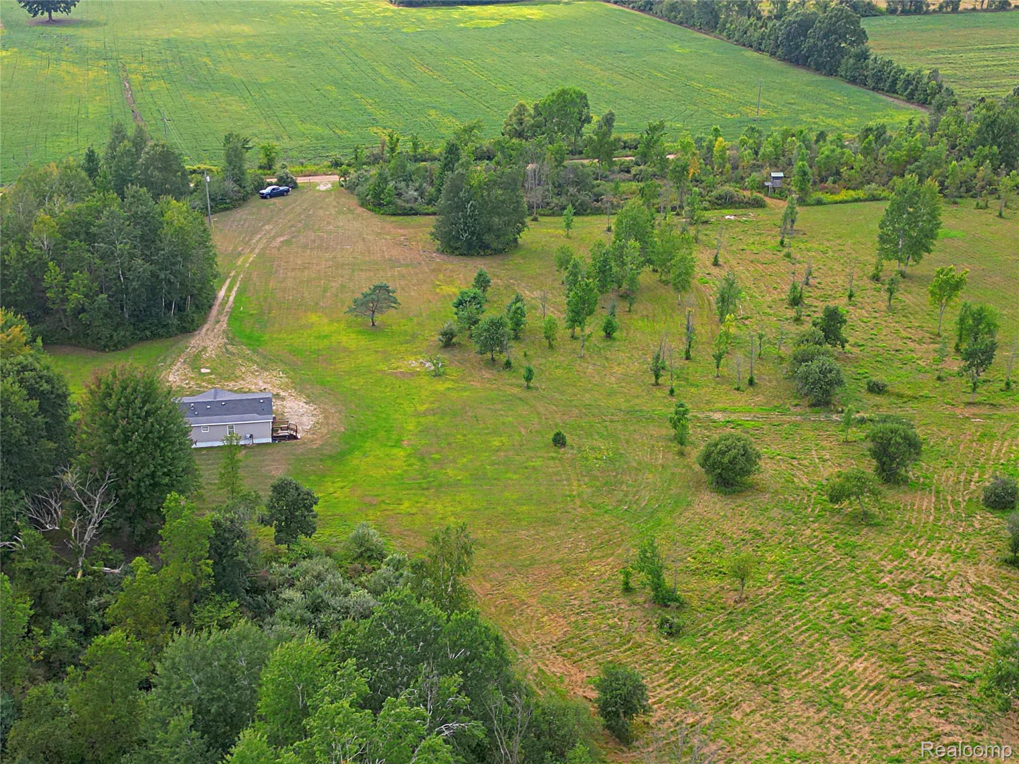 11365 Littlefield Road Blanchard, MI 49310 - Photo 14 of 68 Expansive property featuring a detached residence, lush green fields, mature trees, and a gravel drive