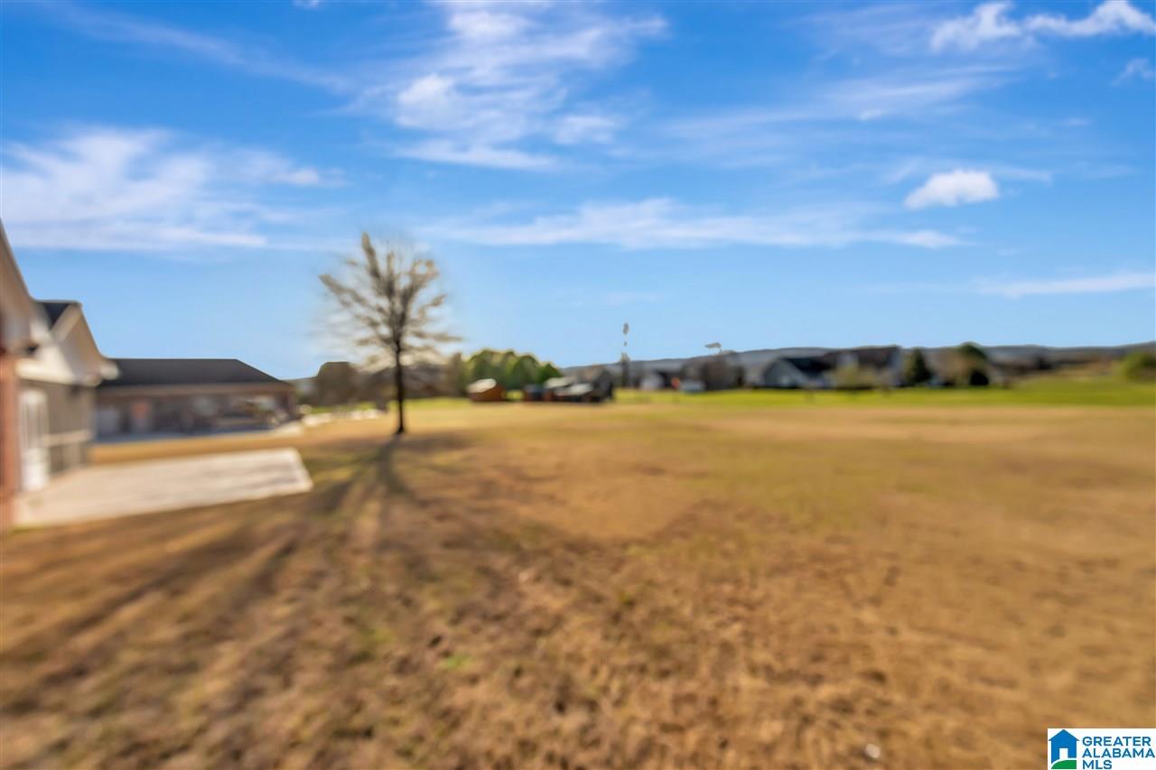 360 Coupland Road Odenville, AL 35120 - Photo 29 of 31