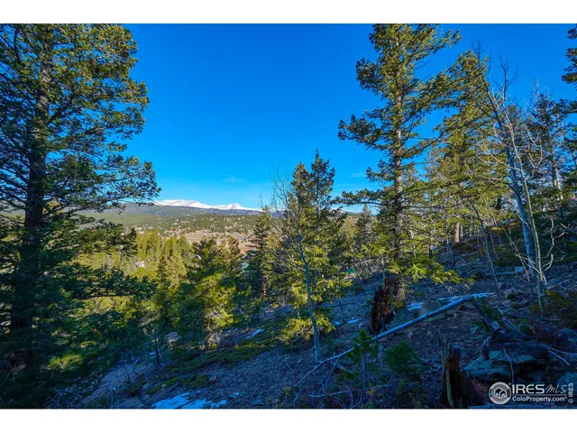 $149,000 | 71 Pinecliff Trail, Nederland, CO 80466