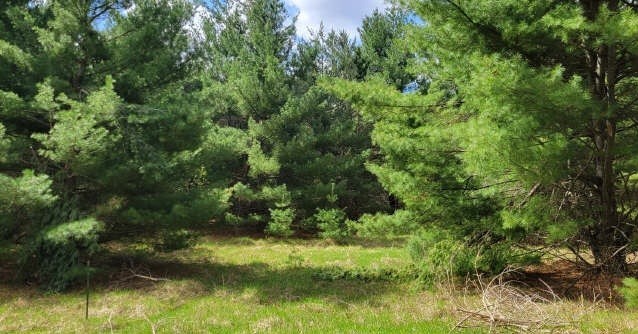 Xxx Normans Landing Road Webster, WI 54893 - Photo 5 of 7
